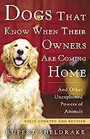 Dogs That Know When Their Owners Are Coming Home