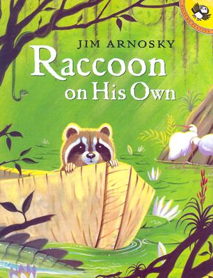Raccoon On His Own