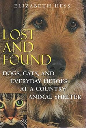 Lost And Found