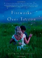 Fireworks Over Toccoam (Large Print)