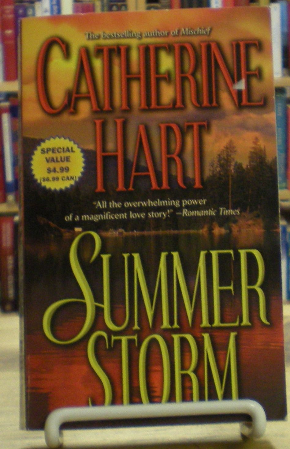 Summer Storm