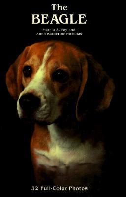 The Beagle