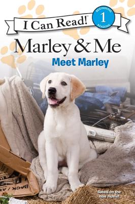 Marley & Me:  Meet Marley