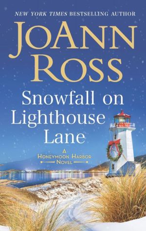 Snowfall On Lighthouse Lane