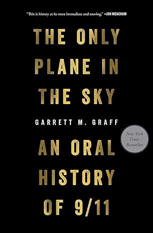 The Only Plane In The Sky