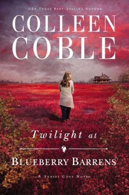 Twilight At Blueberry Barrens