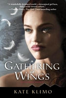 A Gathering Of Wings