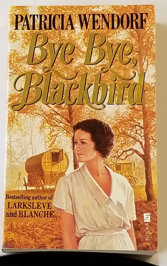 Bye Bye, Blackbird