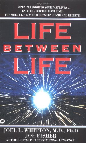 Life Between Life