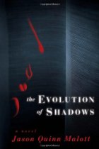 The Evolution Of Shadows