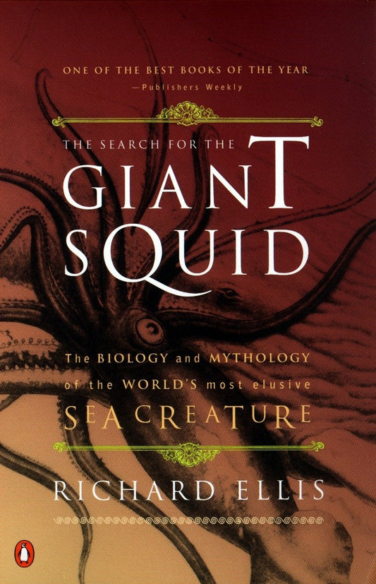 The Search For The Giant Squid