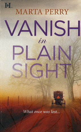 Vanish In Plain Sight